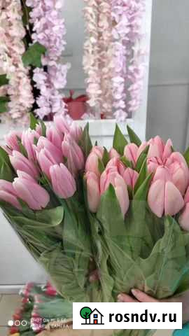 Для дома и дачи Великовечное - изображение 1