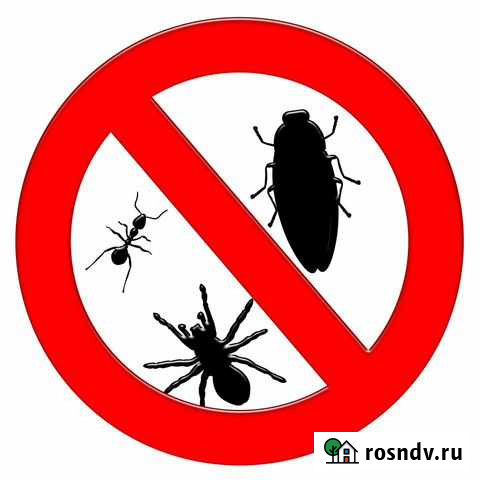 Травлю/продаю Кемерово - изображение 1