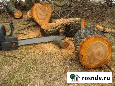 Спил деревьев, расчистка участков, демонтаж Валуйки - изображение 1