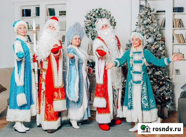 Дед Мороз и Снегурочка домой или на улицу Тула - изображение 1