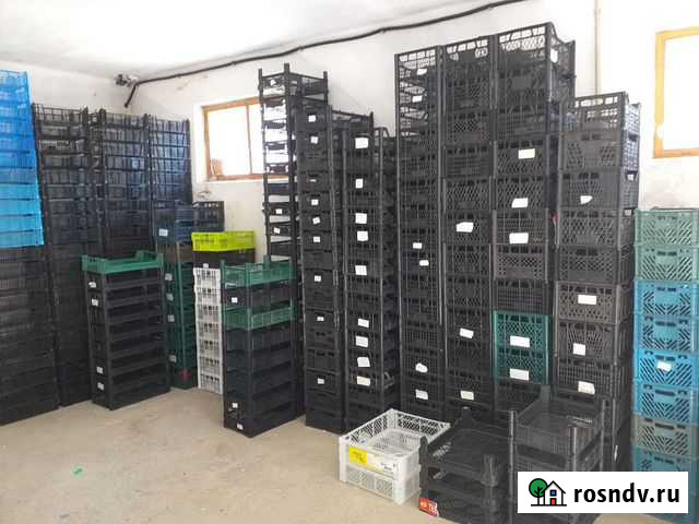 Ящики пластиковые Саки - изображение 1