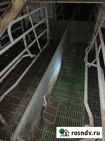 Станок для опороса,комплектный Дзержинск - изображение 1