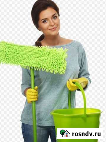 Химчистка ковров и мягкой мебели. Уборка квартир Бийск - изображение 1