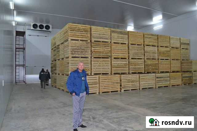 Овощехранилища. Холодильное оборудование под ключ Нальчик - изображение 1