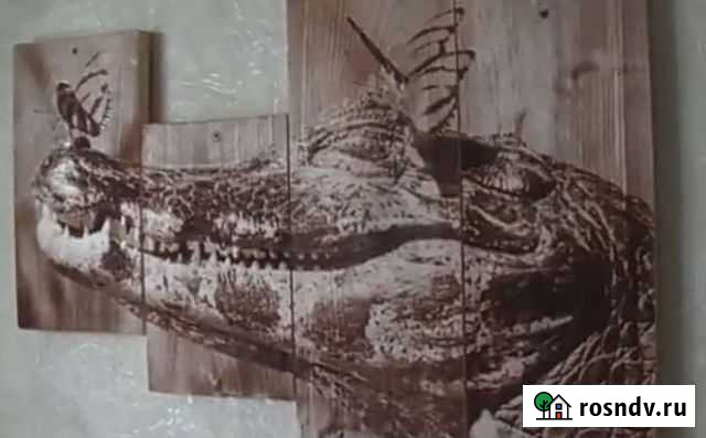 Портреты по фото выжигание на дереве Уфа - изображение 1