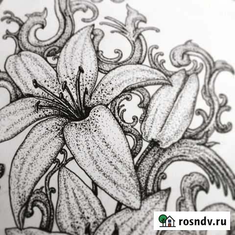 Рисование, компьютерная графика (2D, 3D) Санкт-Петербург - изображение 1