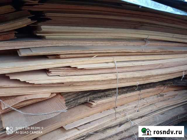 Шпон хвоя Шумерля - изображение 1