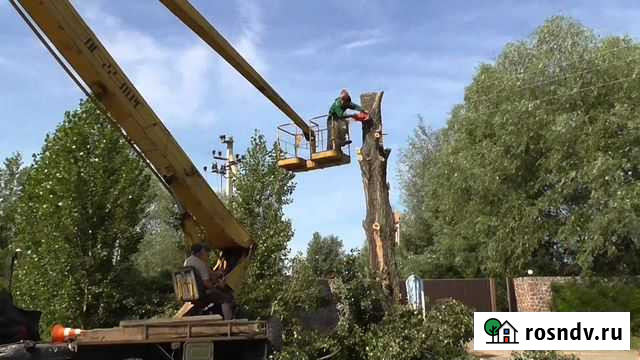 Удаление (Валка) деревьев, демонтаж, расчистка уч Тамбов - изображение 1