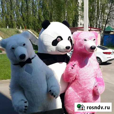 Аниматоры. медведишоу31 Ростовый медведь Белгород - изображение 1