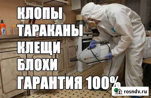 Уничтожение тараканов, клопов, блох, клещей Тольятти - изображение 1