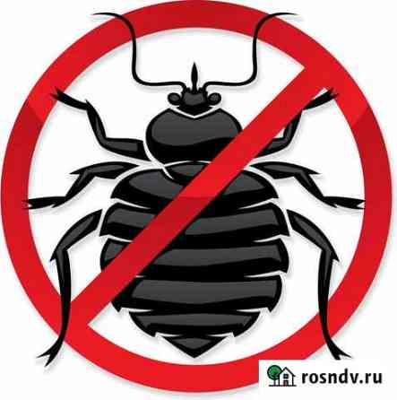 Дезинфекция от клопов, тараканов Рязань