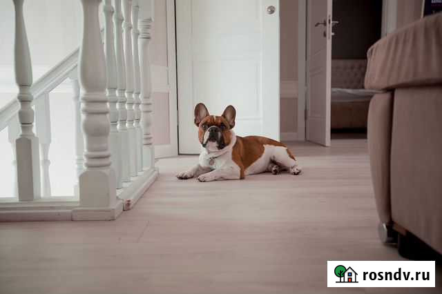 Вязка Ростов-на-Дону - изображение 1