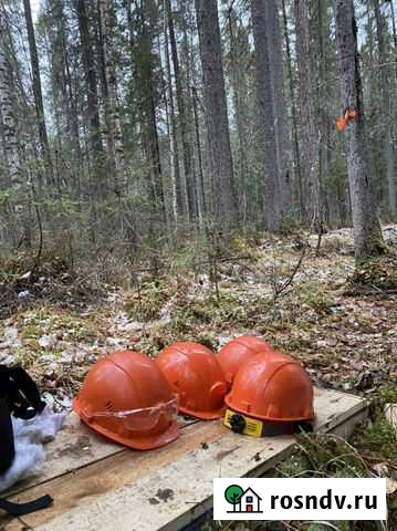 Вырубка леса Югорск - изображение 1