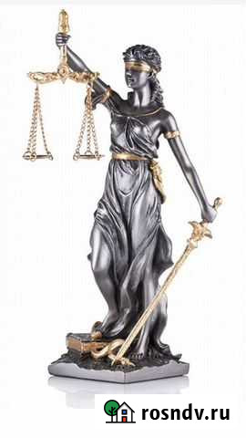 Юридическая помощь Петропавловск-Камчатский - изображение 1