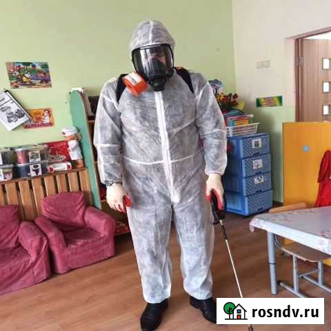 Обработка от комаров, тараканов Тольятти - изображение 1