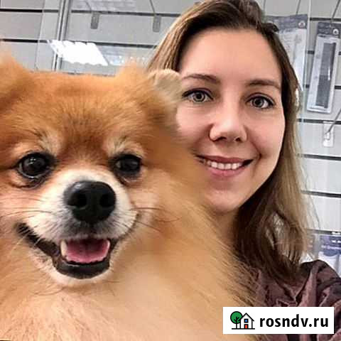 Стрижка кошек Стрижка собак домашних животных Челябинск - изображение 1