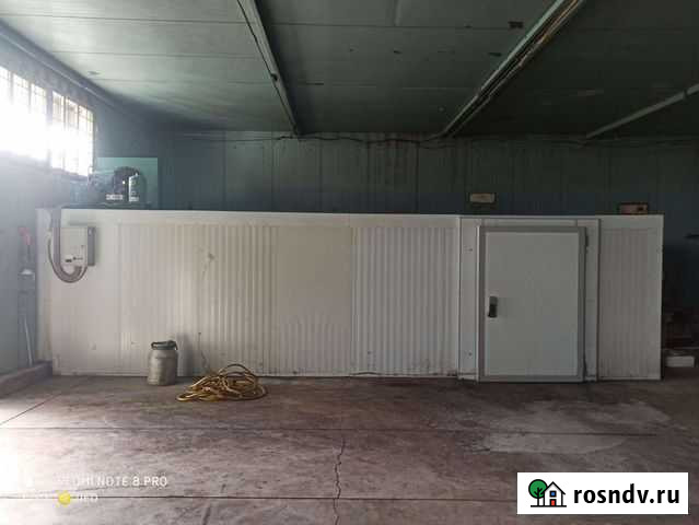 Хранение продукции в холодильнике Красногвардейское - изображение 1