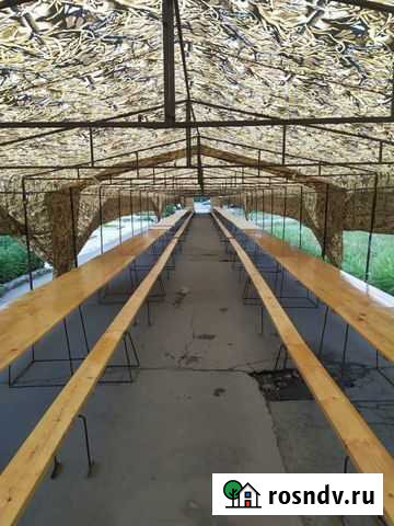 Прокат палаток Владикавказ - изображение 1