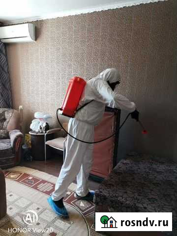 Дезинфекция, дезинсекция, дератизация Астрахань - изображение 1