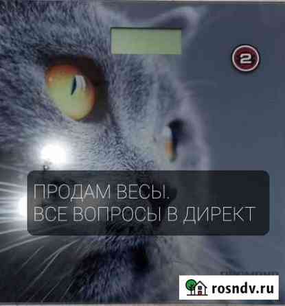 Весы Ханская