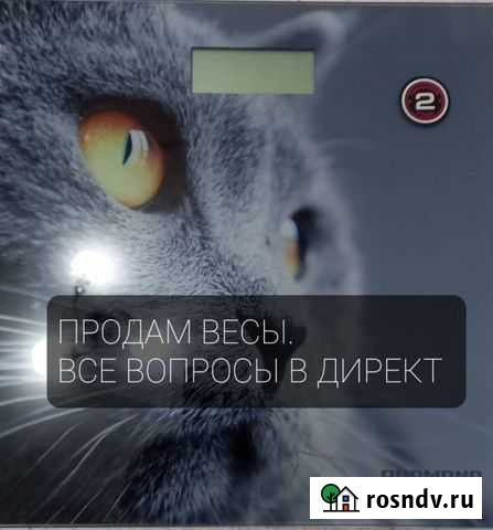 Весы Ханская - изображение 1