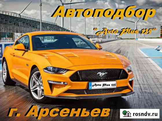 Профессиональная помощь в подборе автомобиля Арсеньев