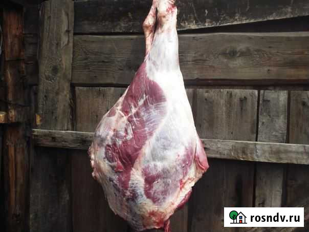 Мясо Сургут - изображение 1