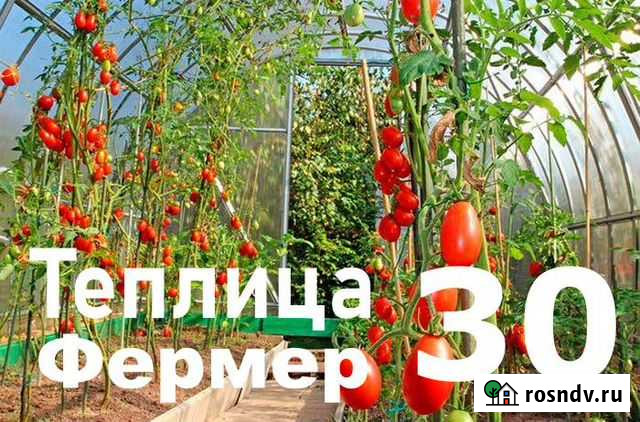 Теплица Ханская - изображение 1