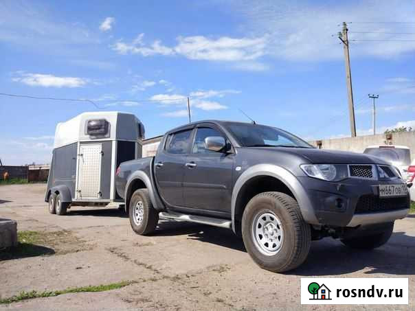 Конеперевозки Сертолово - изображение 1