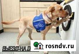 Опытный мастер по ремонту стиральных машин Нижнекамск - изображение 1