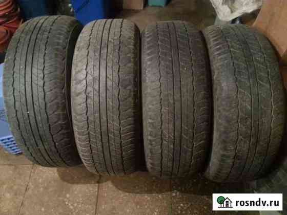 Комплект резины dunlop Байкальск