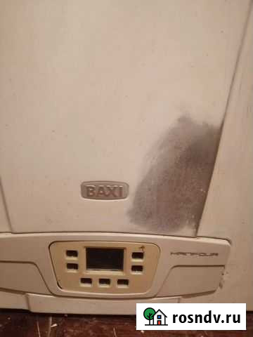 Газовый котел двухконтурный baxi Ракитное - изображение 1