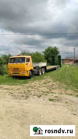 Даймон Шали - изображение 1