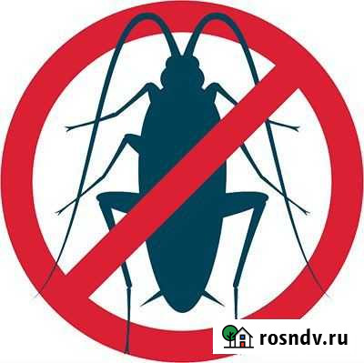 Уничтожение клопов и тараканов Петропавловск-Камчатский - изображение 1