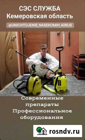 Уничтожение Клопов Тараканов Блох Клещей Новокузнецк - изображение 1
