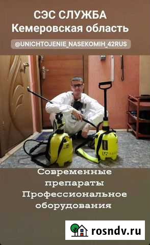 Уничтожение Клопов Тараканов Блох Клещей Новокузнецк - изображение 1
