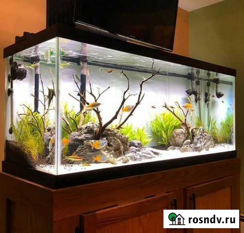 Изготовление и обслуживание аквариумов/клеток Энгельс - изображение 1