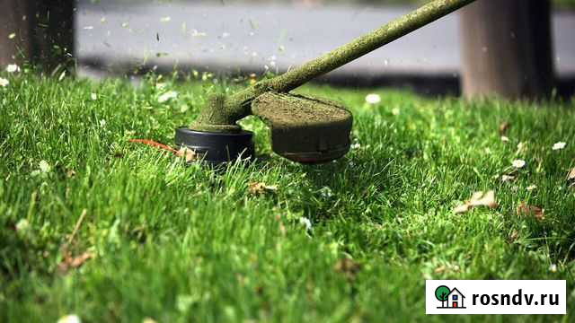 Помощь по хозяйству/Покос травы Лангепас - изображение 1