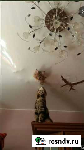 Натяжные потолки Выборг - изображение 1