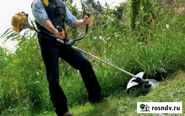 Покос. Скос. Окос травы. Поросли Рязань - изображение 1