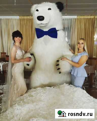 Ведущая (тамада), ди-джей для Вашего торжества Волжский - изображение 1