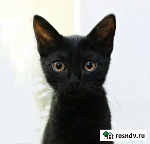 Электрик Иваново - изображение 1