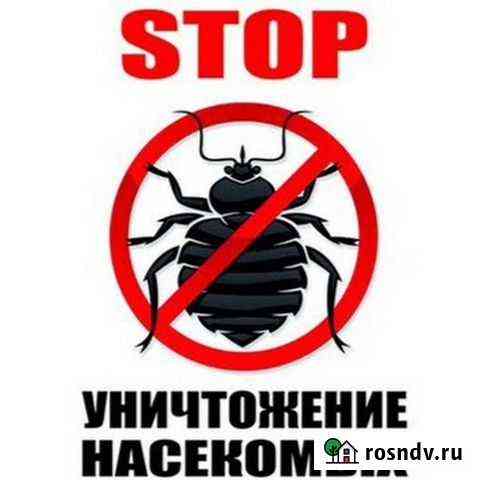 Уничтожение клопов,тараканов,крыс в быту Санкт-Петербург