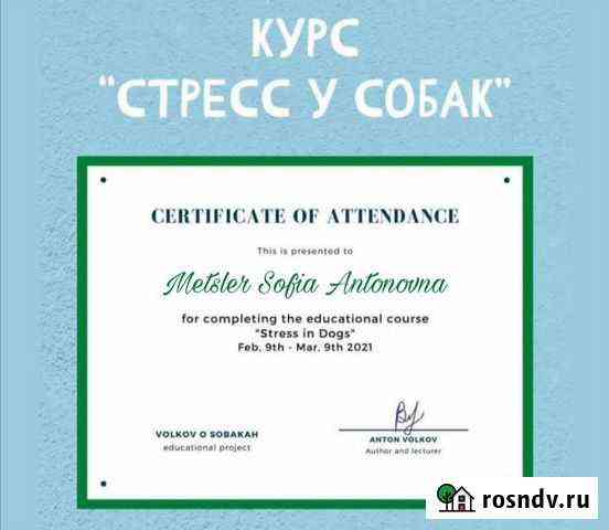 Выгул собак, передержка Краснодар