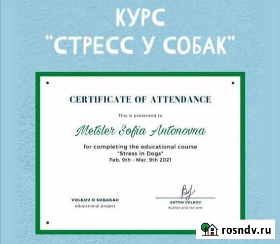 Выгул собак, передержка Краснодар - изображение 1