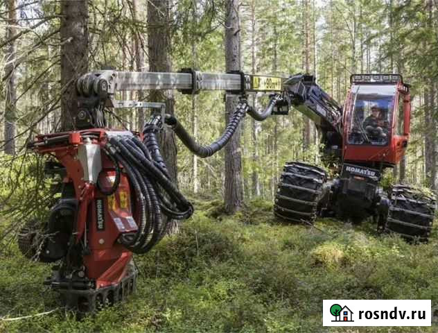 Уcлуги пo зaгoтoвке дрeвесины Услуги по выpубке лe Шемурша - изображение 1
