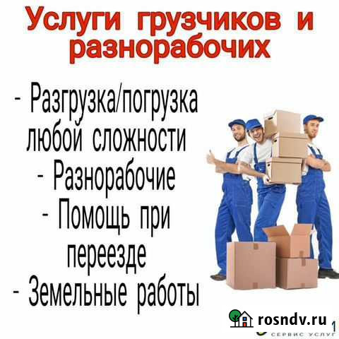Переезды грузчики Воронеж - изображение 1