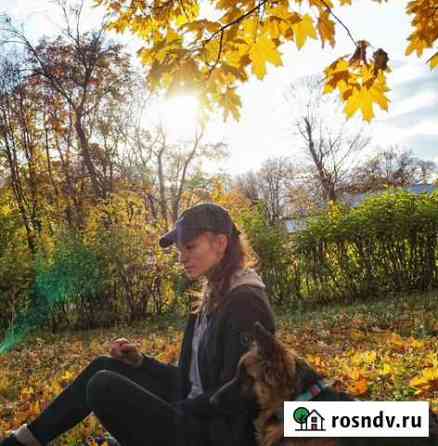 Доберман и немецкая овчарка для фотосессии Москва