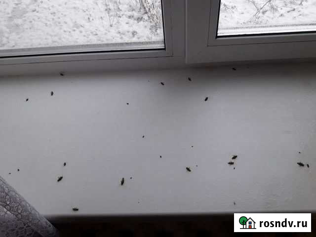 Дезинфекция Чебоксары - изображение 1