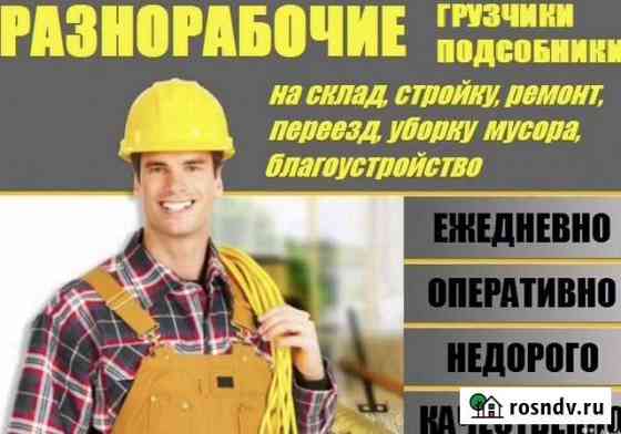 Разнорабочие Томск
